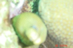 DSC00061-.Medium