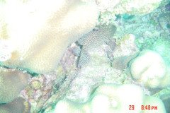 DSC00072-.Medium