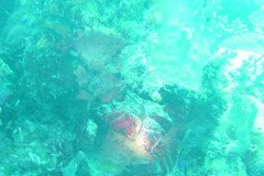 DSC00390-.Medium