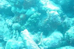 DSC00393-.Medium