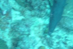 DSC00873-.Medium