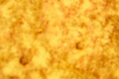 DSC00891-.Medium