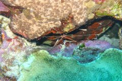 IMG_1904-.Medium