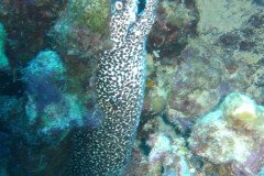 IMG_1907-.Medium