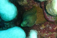 IMG_1911-.Medium