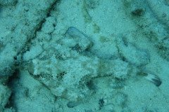 1_IMG_0940-.Medium