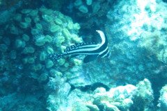 IMG_0891-.Medium