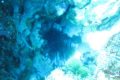 IMG_0904-.Medium