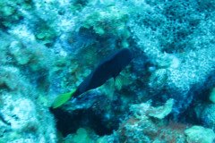 IMG_0906-.Medium