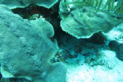 IMG_0907-.Medium