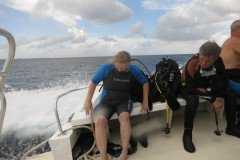 IMG_0914-.Medium