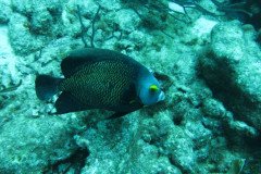 IMG_0924-.Medium