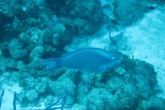 IMG_0925-.Medium