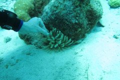 IMG_0927-.Medium
