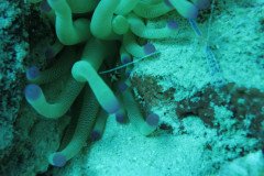 IMG_0934-.Medium