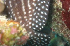 IMG_1070-.Medium