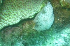 IMG_1073-.Medium