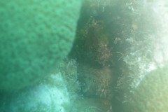 IMG_1091-.Medium