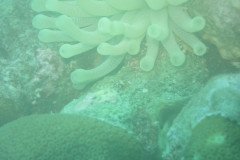 IMG_1097-.Medium