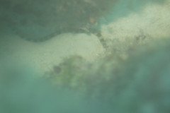 IMG_1101-.Medium
