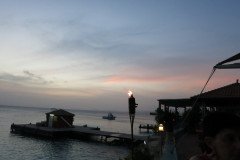 1_IMG_1990-.Medium