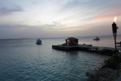 IMG_1989-.Medium