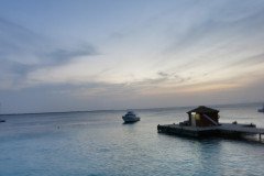IMG_1994-.Medium