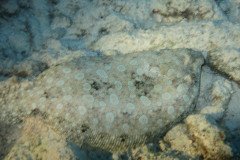 IMG_2022-.Medium