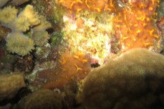IMG_2023-.Medium