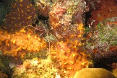 IMG_2024-.Medium