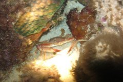IMG_2025-.Medium