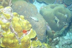 IMG_2026-.Medium