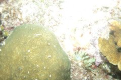 IMG_2028-.Medium