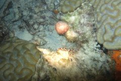 IMG_2034-.Medium