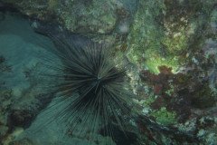 IMG_2047-.Medium
