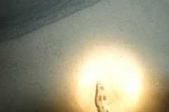 IMG_2051-.Medium