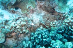 IMG_2052-.Medium