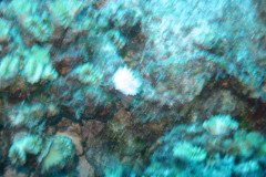IMG_2053-.Medium