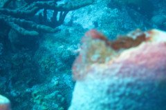 IMG_2055-.Medium
