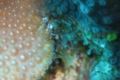 IMG_2057-.Medium