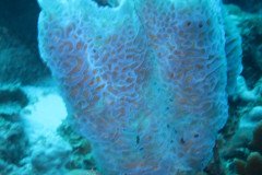 IMG_2058-.Medium