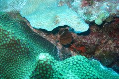 IMG_2059-.Medium