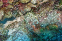 IMG_2060-.Medium