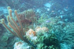 IMG_2061-.Medium