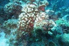IMG_2062-.Medium