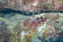 IMG_2063-.Medium