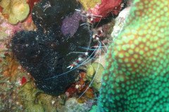 IMG_2065-.Medium