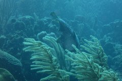 IMG_2066-.Medium