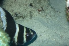 IMG_2069-.Medium