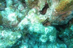 IMG_2075-.Medium